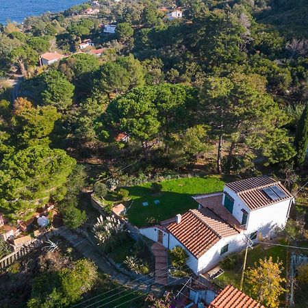 Villa Caterina Quiete E Mare-Goelba Sant'Andrea  Bagian luar foto
