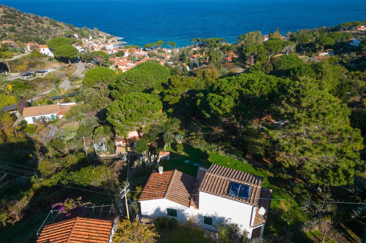Villa Caterina Quiete E Mare-Goelba Sant'Andrea  Bagian luar foto